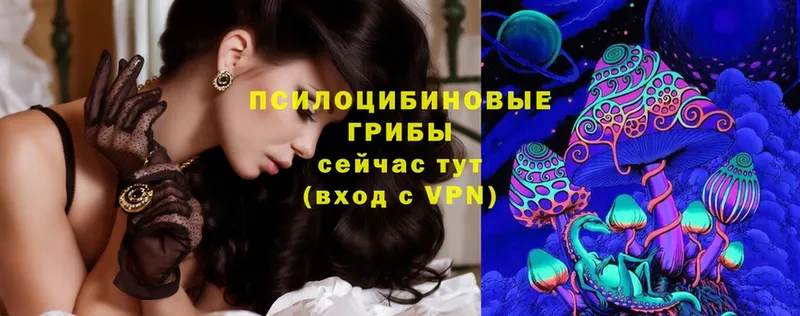 OMG ссылка  Чистополь  Псилоцибиновые грибы Magic Shrooms 